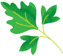 Bright Farms Body leaf-4