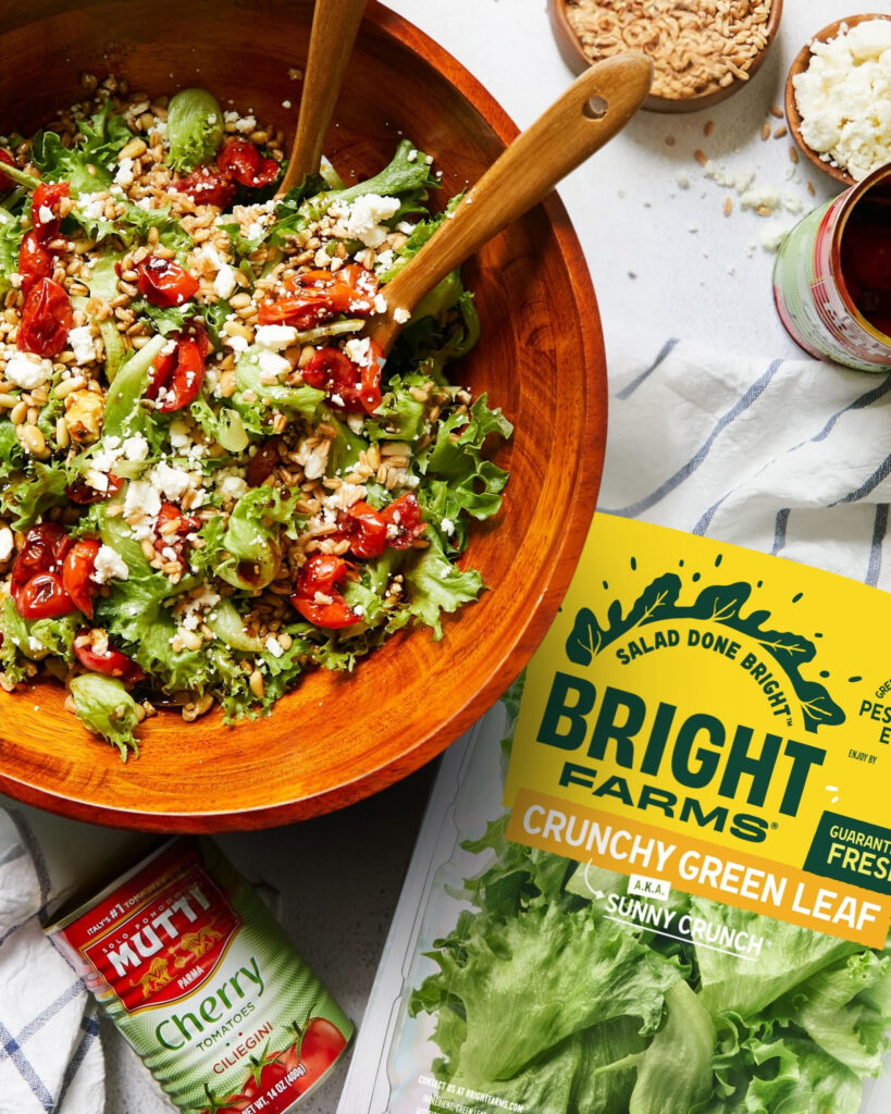 Roasted Tomato & Feta Salad Bowl - Brightfarms