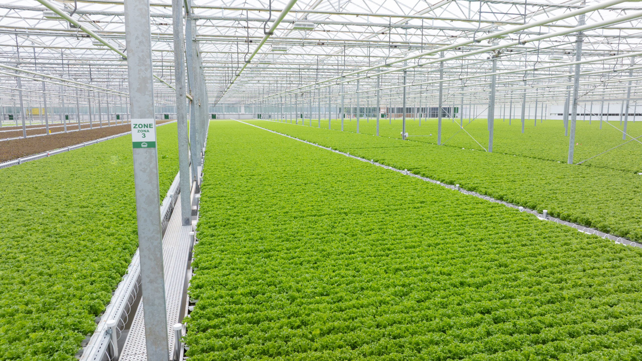 Which is why we grow lettuce in a way that’s better for humans and for the planet.